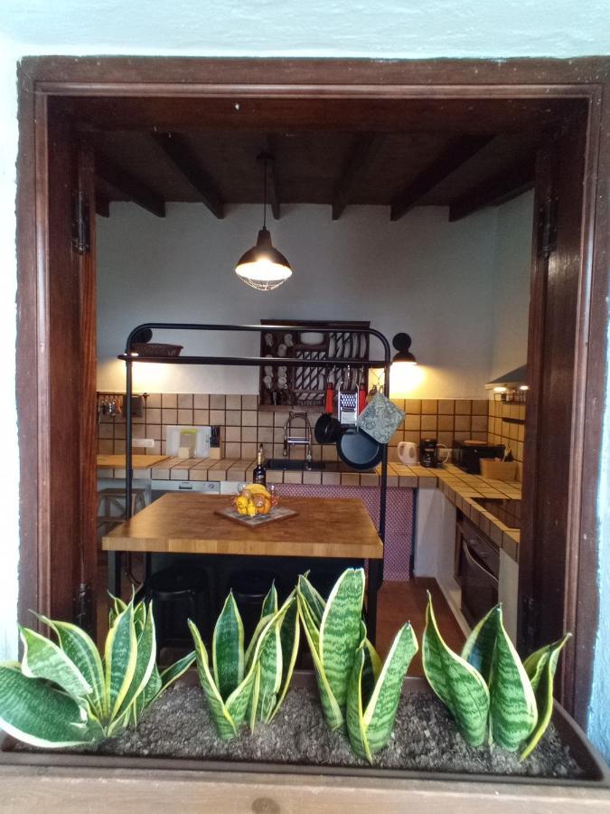 Finca La Sirena Habitaciones ガラチコ エクステリア 写真